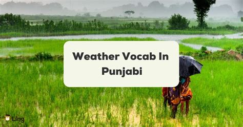 storm meaning in punjabi|23+ Weather Vocab In Punjabi: An Astonishing Insider .